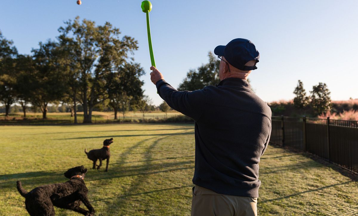 Man playing with his dogs at Ocala Preserve Dog Park