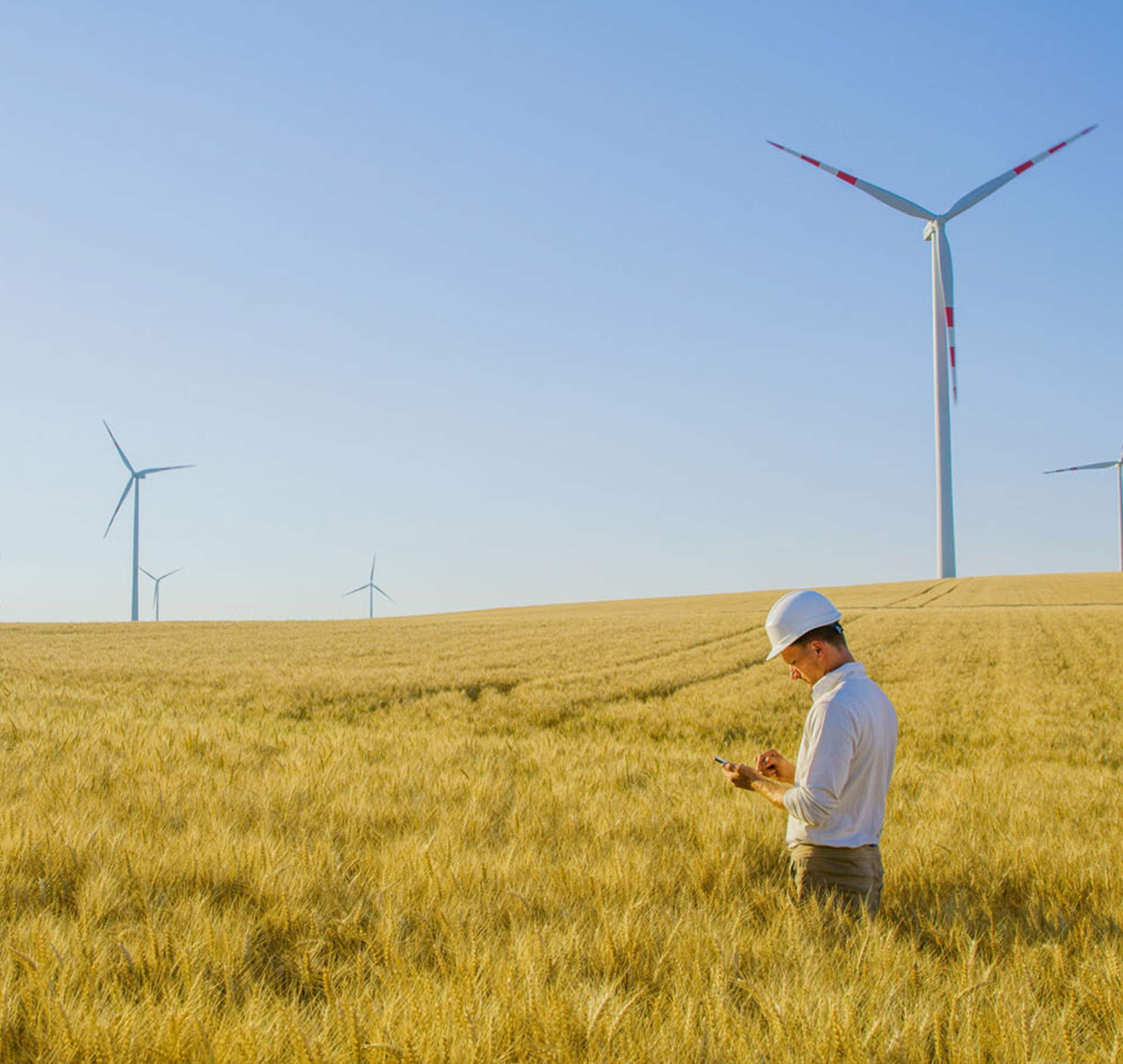 wind farm